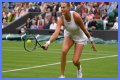Wimbledon 2021: Aryna Sabalenka vs Karolina Pliskova Preview, Head to Head and Prediction